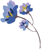 illustration d'une fleur